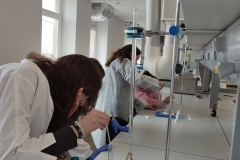 chem-10