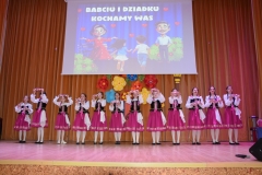 dzd-12