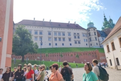 jezykpl-15