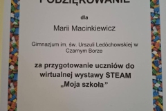 msz-4
