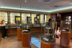 pim-10
