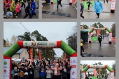 Juodšilių-ruduo-02 Juodšilių-ruduo-02