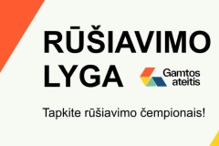 rl-3