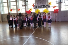 ska-8