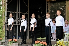 swr15