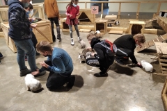 zoo-2